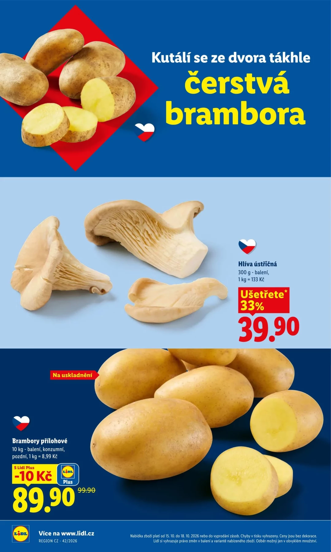 Originální strana 10 z 54 letáku Lidl – Lidl
