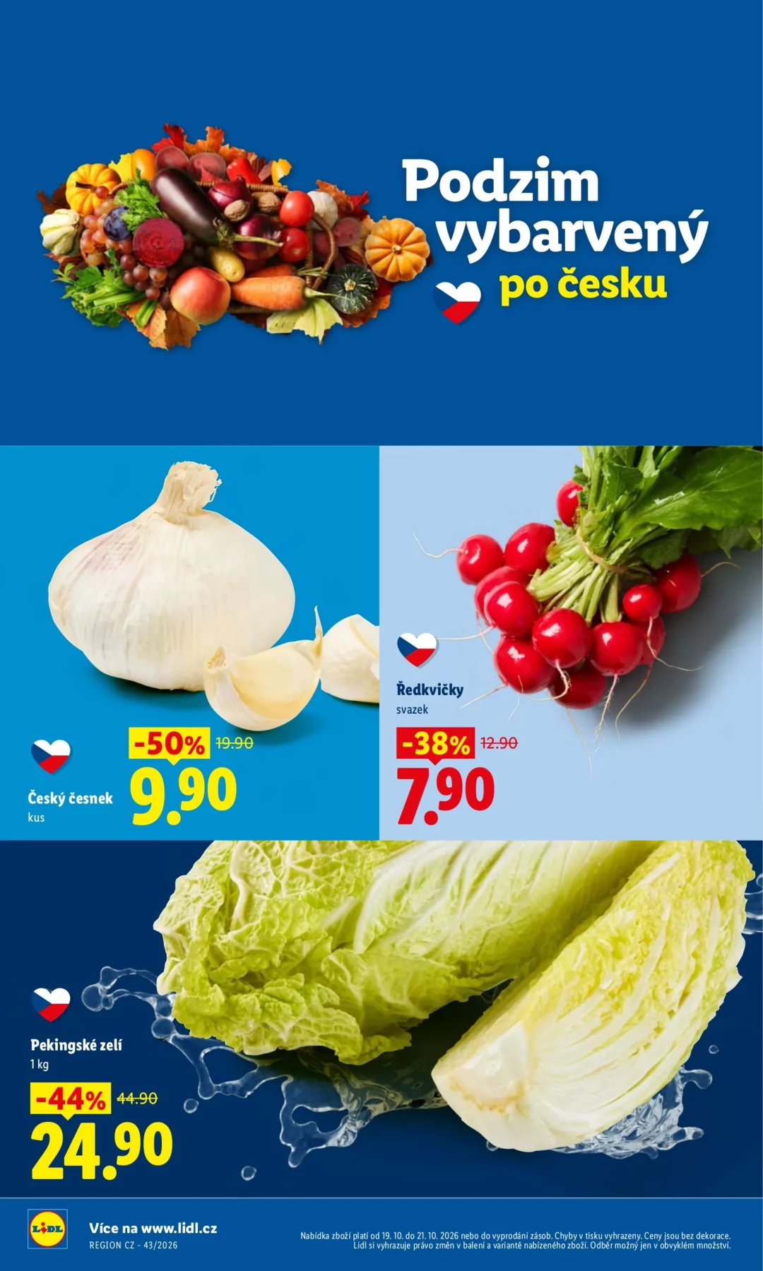 Originální strana 10 z 45 letáku Lidl – Lidl
