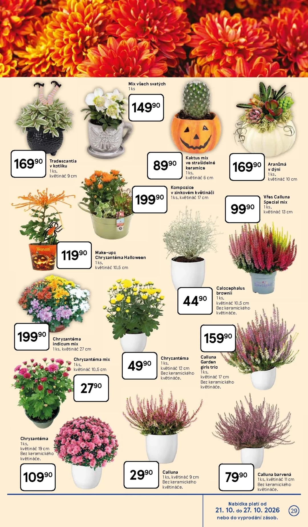 Originální strana 29 z 35 letáku Tesco – Tesco